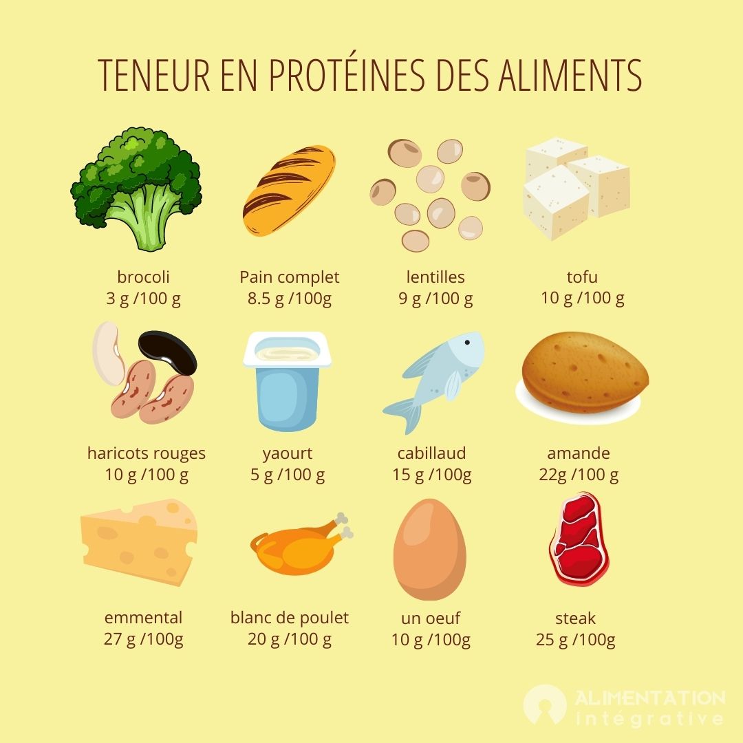 Mangez Vous Suffisamment De Protéines Calculez Alimentation Intégrative 8404